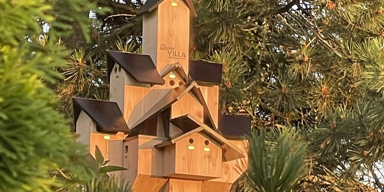 Birdies Villa